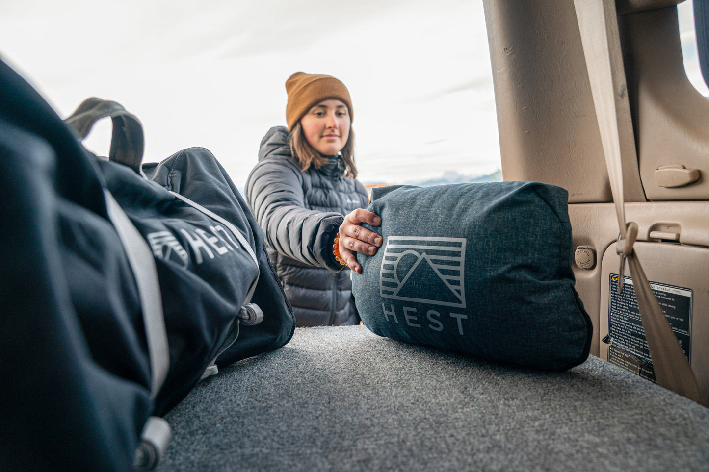 Hest Standard Pillow