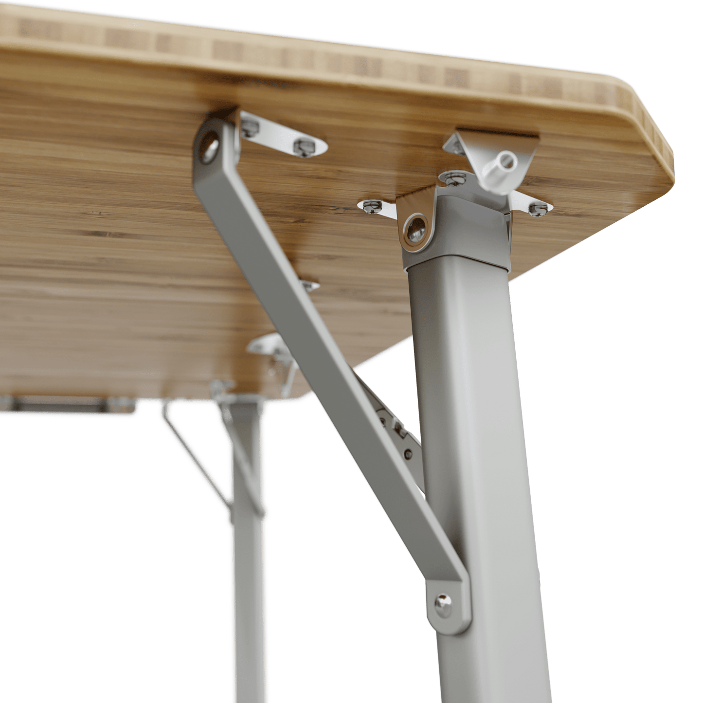 Dometic GO Camp Table