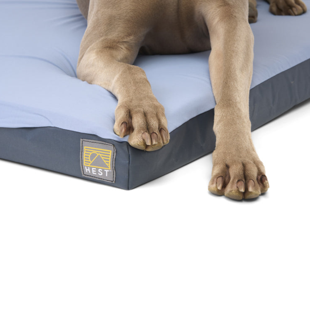 HEST Dog Bed