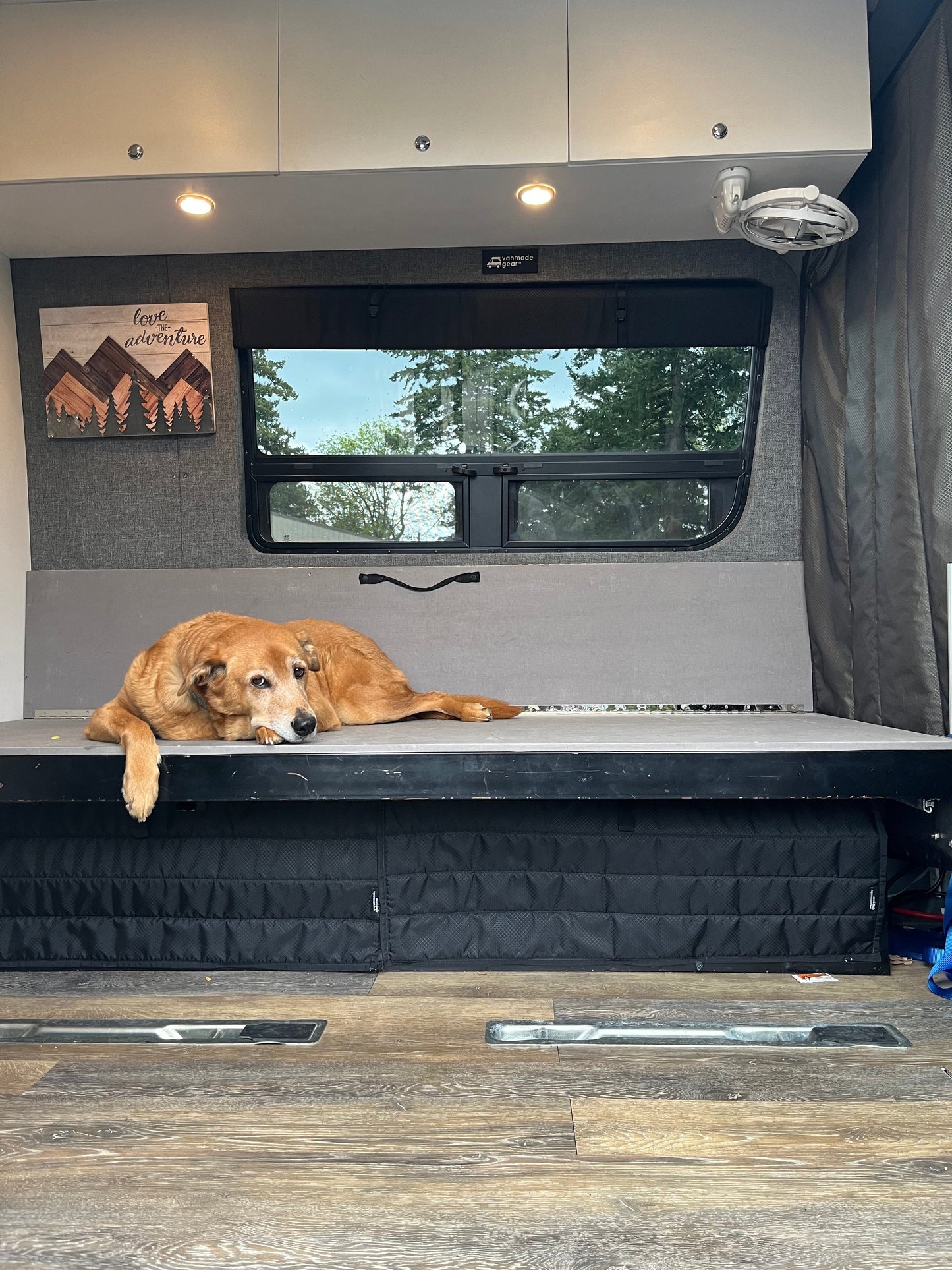 Sprinter - Crew Window Shade (Driver’s Side, 1st Row)