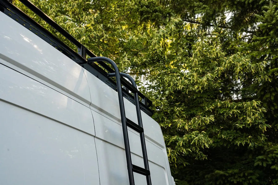 Exterior detail of an Adventure Wagon camper van with a black side ladder providing access to the roof rack, surrounded by trees.